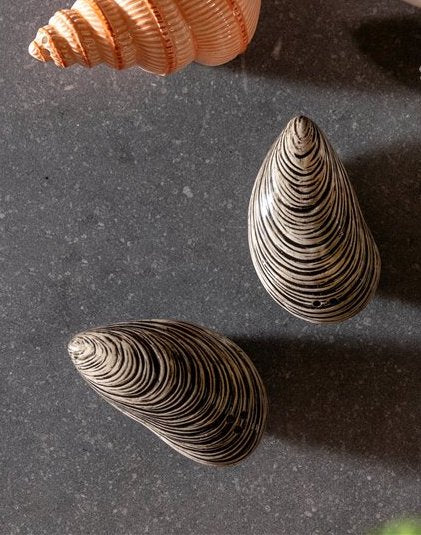 Salt & peppar Mussel